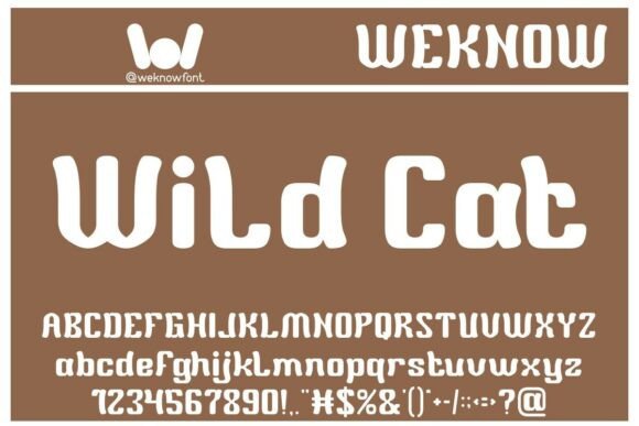 Wild Cat: A Retro Display Font for Bold Branding